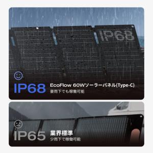 【9/16 0時まで】EcoFlow 60W(...の詳細画像5