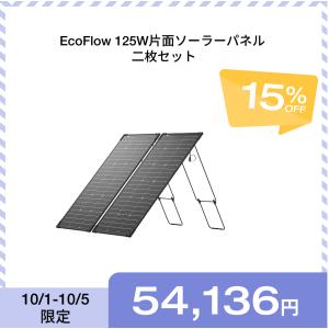 ECOFLOW エコフロー　ソーラーパネル 220w 両面　太陽光　発電 Amazon.co.jp: EcoFlow ソーラーパネル 220W 両面受光型
