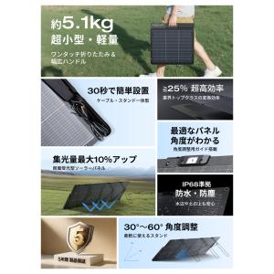 【10/13 0時まで】EcoFlow 220...の詳細画像2
