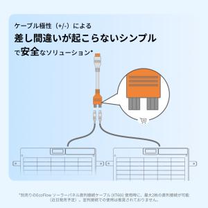 【10/13 0時まで】EcoFlow 220...の詳細画像5
