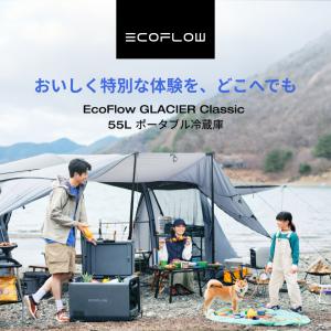 EcoFlow GLACIER Classic...の詳細画像1