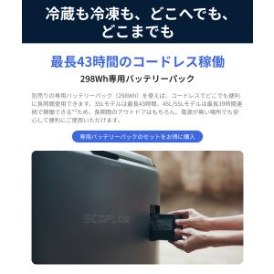 EcoFlow GLACIER Classic...の詳細画像3