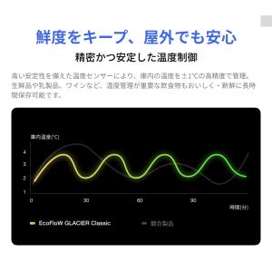 EcoFlow GLACIER Classic...の詳細画像5