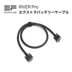 EcoFlow 公式 RIVER Pro エクストラバッテリー ケーブル エコフロー｜EcoFlow公式 Yahoo!ショッピング店