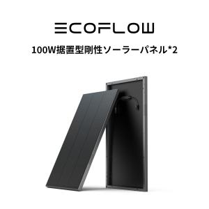 100Wソーラーパネル 2枚セット 剛性 据置型 単結晶 システム用 小型軽量 高耐久性 防水防塵 23%変換率 太陽光発電 屋根 ルーフソーラーチャージャー EcoFlow