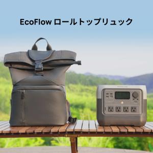 ECOFLOW EcoFlow 公式 RIVER 2 シリーズ専用バッグ ポータブル