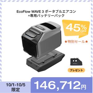 夏＆冬両用 ポータブルエアコン 冷暖房機能 WAVE 2+専用バッテリーパック セット ポータブルクーラー エアコン 車中泊 キャンプ 家庭用 アウトドア EcoFlow