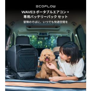 【8/10 0時まで 160,227円】夏&冬...の詳細画像1