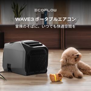 夏&冬両用 EcoFlow WAVE 3 ポー...の詳細画像1