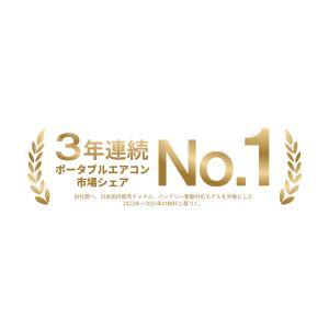 夏&冬両用 EcoFlow WAVE 3 ポー...の詳細画像2