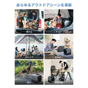 夏&冬両用 EcoFlow WAVE 3 ポー...の詳細画像4