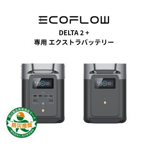 ポータブル電源 大容量 リン酸鉄リチウム セット DELTA 2 1024Wh + 専用エクストラバッテリー 家庭用 車中泊 キャンプ 防災 停電 EcoFlow