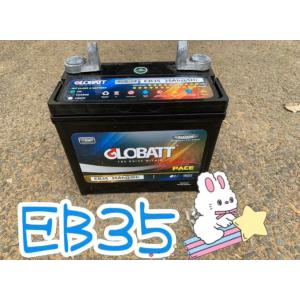 EB35　ディープ　サイクル　バッテリー 蓄電池　新品｜ecofuture8