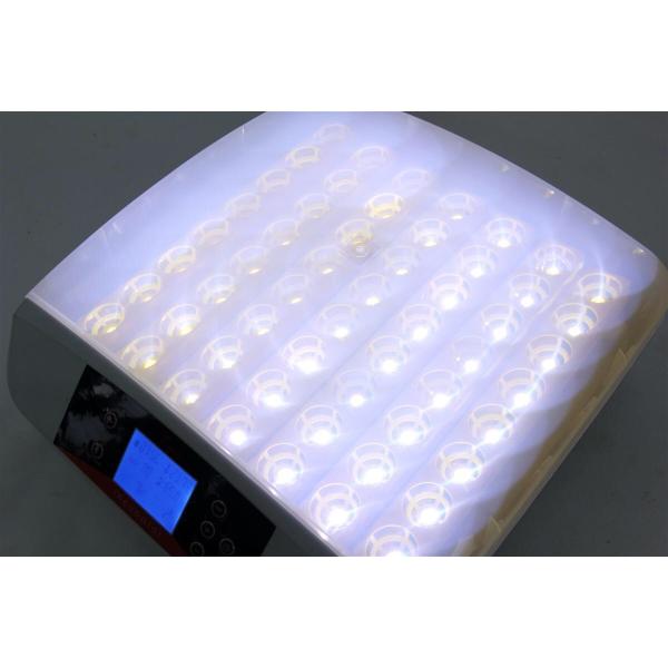 最大56個　全自動孵卵器　孵卵機　孵化器　ふ卵器　孵化器　インキュベーター