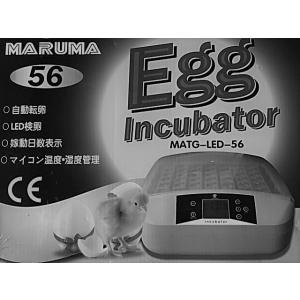 最大56個　LED　全自動孵卵器　孵卵機　ふ卵器　孵化器　インキュベーター　送料無料