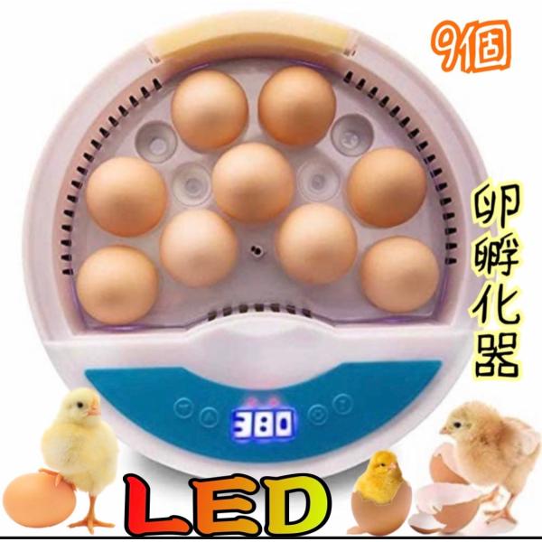 インキュベーター 検卵LEDライト　鳥類専用ふ卵器 　孵化器 最大9個入卵OK　 ヒヨコ 子供教育用...