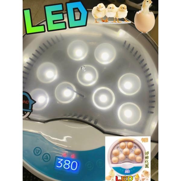 インキュベーター 検卵LEDライト　鳥類専用ふ卵器 　孵化器 最大9個入卵OK　 ヒヨコ 子供教育用...