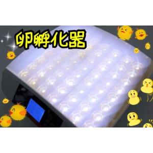 孵卵器(ふらん機) ベビーB型 昭和フランキ : オアシスプラス - 通販