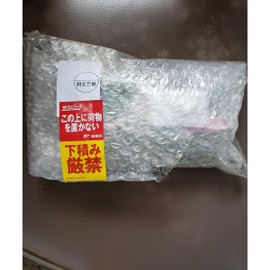 一番人気!観葉植物 送料無料! モンステラ 観...の詳細画像3
