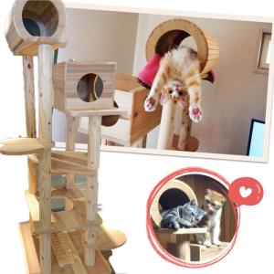 『猫まみれツリーハウス』宮大工さん監修！！ 木製 キャットタワー（おしゃれなハート型踏み台）