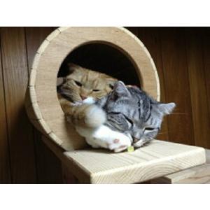 『猫まみれツリージャングル』宮大工さん監修!!...の詳細画像1
