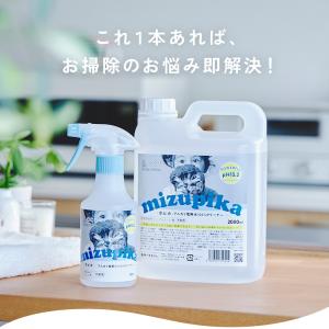 23%OFF pH13.2 アルカリ電解水 水...の詳細画像3