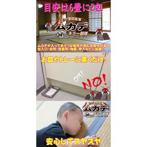 ムカデキラー部隊10g 10包 ムカデ 害虫 ...の詳細画像1