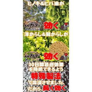 ムカデキラー部隊10g 10包 ムカデ 害虫 ...の詳細画像2