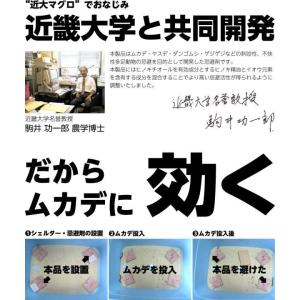 ムカデキラー部隊10g 10包 ムカデ 害虫 ...の詳細画像3