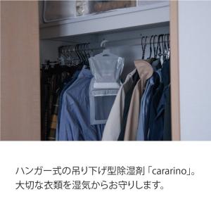 除湿剤 吊り下げ 部屋用 クローゼット car...の詳細画像1