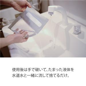 除湿剤 吊り下げ 部屋用 クローゼット car...の詳細画像4