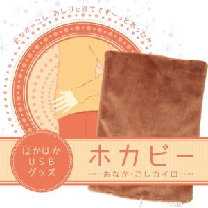 USBカイロ ホカビー おなか 腰 使い捨てない カイロ ...