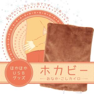 USBカイロ ホカビー おなか 腰  使い捨てない カイロ  (ネコポス送料無料)