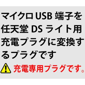 microUSB-DSLite チェーンホール...の詳細画像2