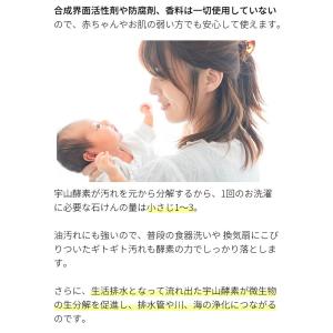 無添加石鹸 粉石けん ナチュラッコ 2kg 洗...の詳細画像2
