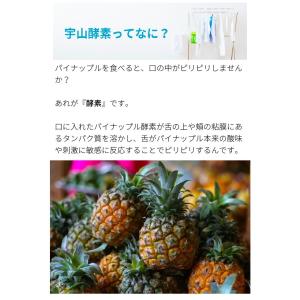 無添加石鹸 粉石けん ナチュラッコ 2kg 洗...の詳細画像3
