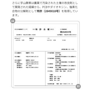 無添加石鹸 粉石けん ナチュラッコ 2kg 洗...の詳細画像5