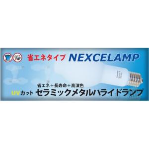 【法人様限定】エバーライツ　保護膜付・垂直上下点灯専用形　1ケース（6個入）UCM190・LE-W/BU/WAN-P 6P｜ecokeinet