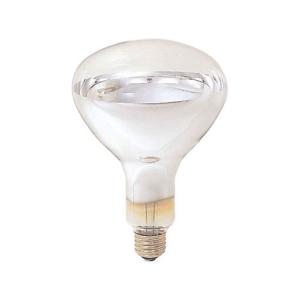 パナソニック ボール電球 40W型E17口金 GW100V36W50E17 : エコデン