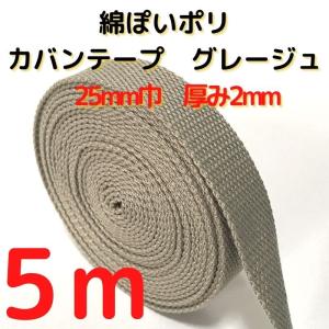 カバンテープ25mmグレージュ5M綿ぽいポリアクリルテープ風平織 アクリルテープ 25mm 持ち手テープ 手芸KT25G5