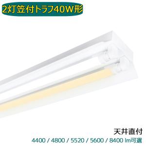 ODELIC（オーデリック） ベースライト 【XL501005R2B】【XL 501 005R2B