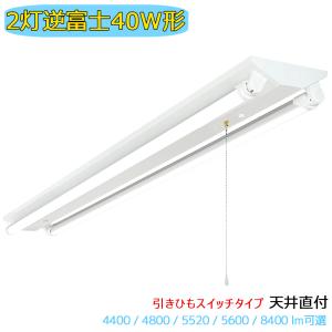 TOSHIBA 東芝 TEK-20201-SL17 FL20X2 屋内用 電撃殺虫器