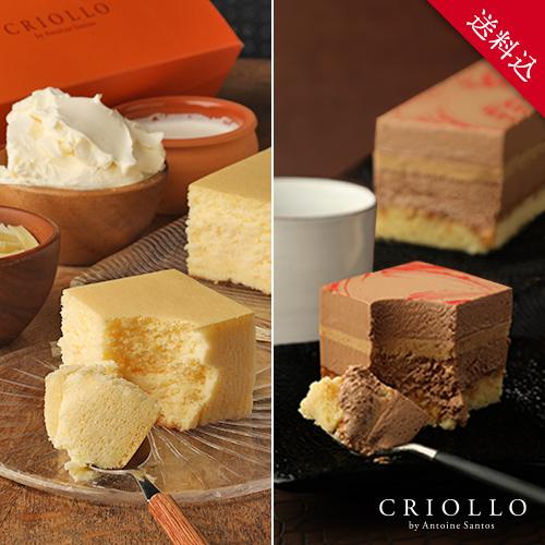 【送料込】 幻のチーズケーキ と スリム・プラリネ・ノワゼット（ナッツのチョコレートケーキ）【冷凍便...