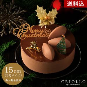 クリスマスケーキ 2022 トゥ・ショコラ 15cm 約4〜6名用 |1月7日までのお届け　冷凍便 スイーツ お取り寄せ ギフト プレゼント ノエル