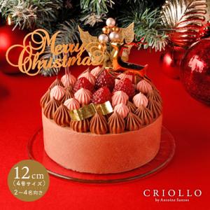 【送料込】ショコラ・ルージュ・ノエル（12cm）チョコレートとベリーのクリスマスケーキ【朝9時までの注文で当日出荷可】※12月30日までのお届け