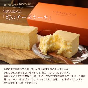 幻のチーズケーキ【冷凍便】【朝9時までの注文で...の詳細画像2