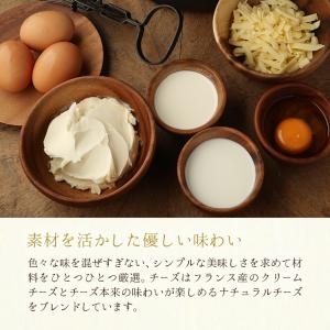 幻のチーズケーキ【冷凍便】【朝9時までの注文で...の詳細画像3