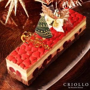 クリスマスケーキ アムール（フランボワーズ×ショコラ・長方形）2〜3名様分【2020ノエル】【冷凍便】【2〜3営業日で出荷】