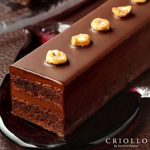 プレゼント ギフト トレゾー・キャラメル チョコレートケーキ | 冷凍便｜ecole-criollo