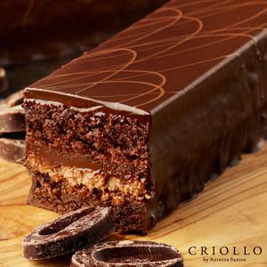 8/31まで20％OFF！ ギフト プレゼント トレゾー・スペシャル・ショコラ（プラリネ・トゥラカラム）チョコレートケーキ | 冷凍便